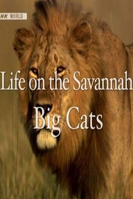 Life on the Savannah: Big Cats